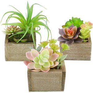 Succulent Plants Artificial 3 Pack Small Organic in Wood Pot Home Decor